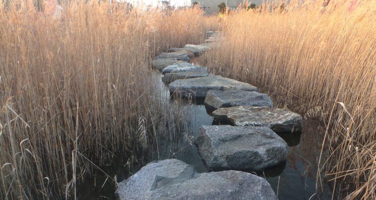 Stepping-Stones