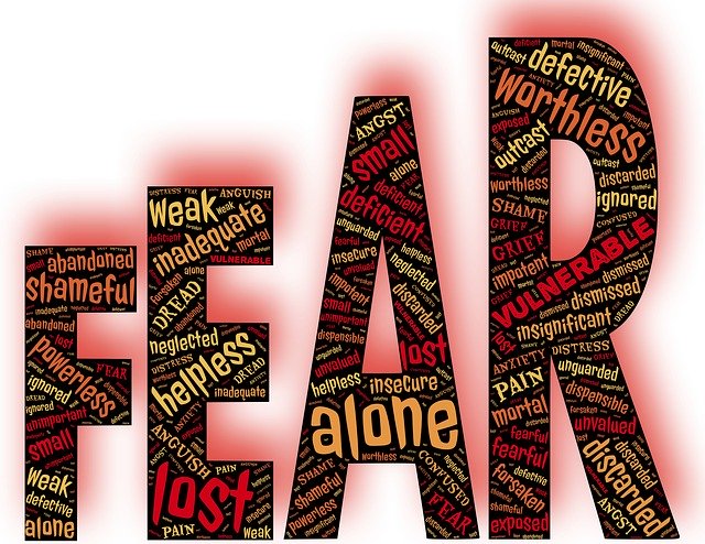 Fear-Is-Future-Epidemic-Analysis-Radar-Fear